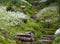 Stony stairs in the green garden