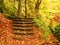 Stony steps in forest, tourist footpath. Bellow golden trunks curved sandstone steps