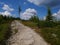 Stony trail leading through the forest mountains