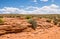 Stony yellow desert of Arizona. erosion of sandstone. Southwestern United States