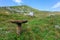 Stool for milking single-legged cows. Typical of shepherds