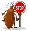 Stop bedbugs