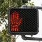 Stop crossing sign light