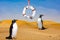 Stop Global Warming - two penuins in desert of Namibia with lifebelt and text: Save the earth.text