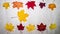Stop motion animation autumn yellow leaves in motion top view copy space, background for text multicolored maple leaves