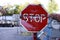 STOP road sign, at the scene of hostilities. Bullet holes in metal