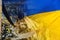 Stop russian aggression the No War in Ukraine of broken houses overgrown with Ukrainian flag