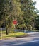 Stop Sign In Australian Tropical Rainforest