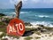 Stop sign and tree overlooking ocean cliffs in Cozumel, Mexico