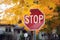 Stop sign on Vancouver, Canadian street with orange autumn leaves and houses