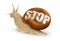 Stop Snail (clipping path included)