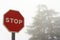 Stop traffic sign, in the background a tree with fog. Mystery concept