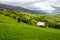 Storage of firewood on hillside meadow in mountain