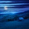 Storage of firewood on hillside meadow at night