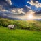 Storage of firewood on hillside meadow at sunset