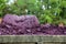 Storage of grape marc after vinification, Bordeaux Vineyard