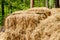 Storage hay agriculture rural straw,  haystack nature