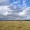 Store Mosse national park, Sweden, nature, dry yellow grass field