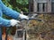 Storing organic fertilizers in compost heaps.A woman sprinkles a manure heap from waste and animal manure with water for early