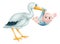Stork and Baby Cartoon