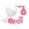 Stork with bag and maraca with sock