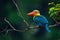 Stork-billed Kingfisher Pelargopsis capensis - tree kingfisher distributed in the tropical Indian subcontinent and Southeast