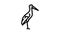 stork bird line icon animation