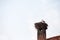 Stork bird standing on its wooden nest, installed on an old chimney on a house building, during a sunny afternoon in Serbia