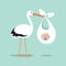 Stork carrying a cute baby