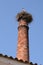 Stork on chimney stack nest