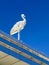 Stork on Ezgulik Archway, Independence Park, Tashkent, Uzbekistan