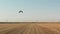 Stork in the field near the combine during the grain harvest