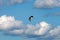 A stork flies through the sky