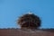 stork in a nest on an Alsatian roof