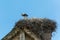 Stork Nest on Church Rooftop