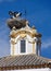 Stork nest on the church tower in Villanueva de la Serena