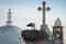 Stork nest and church towers church towers in Olhao, Portugal