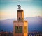 Stork nest on mosque,morocco