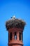 Stork nesting on a chimney, Portimao.