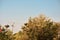 Stork nests on the road to Zaragoza Spain