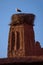 Stork on the old kasbah tower, Morocco.