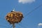 Stork resting on a giant nest built on top of an electric post