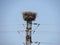 Stork\'s nest built in a pylon of the power grid