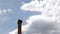 Stork\'s standing in nest on top of old chimney