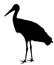 Stork silhouette. Visitant, bird migration symbol.