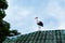 Stork sits on the roof of the house, against the background of the blue sky