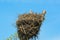 Stork sitting on huge nest