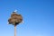 Stork sitting in a large nest on a pillar on blue sky background