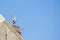 A stork stands on a chimney in its nest, the wind blows through the feathers, blue sky in background