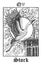 Stork. Tarot card from vector Lenormand Gothic Mysteries oracle deck